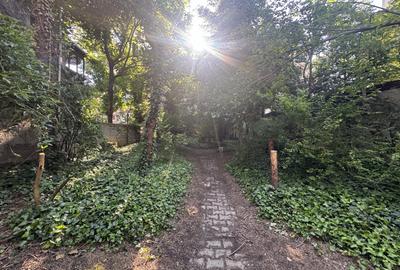 Proprietate unica la Grădina Icoanei - 11