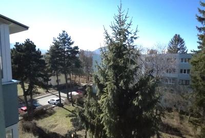 Apartament de vanzare 2 camere, zona Gemenii, Astra, Brasov - 12