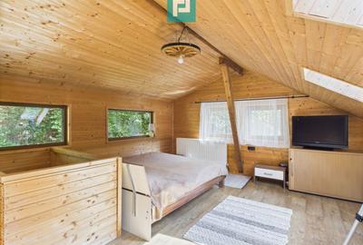 Cabană de vacanță în zona Arieșeni - 21