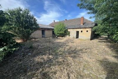 RECO , Spatiu comercial, Ineu,Bihor - 4