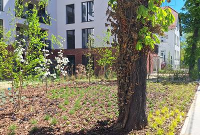 Apartament de 3 camere Timisoara, central,  81.2 mp utili - 4