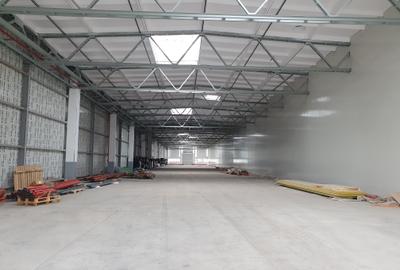 Hala 1200 mp, 4,50 e/mp - 1