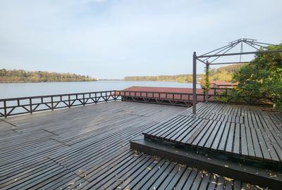 Vila lac snagov in cea mai buna portiune a lacului, ponton, garaj barca, piscina - 33