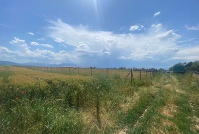 Teren  intravilan cu PUZ 30.000 mp Prejmer - 6