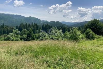 Vand teren intravilan Predeal, Timisul de Sus ideal obiective turistice - 2