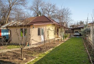 Casă cu curte generoasă pe o stradă liniștită din Bucureștii Noi - 10