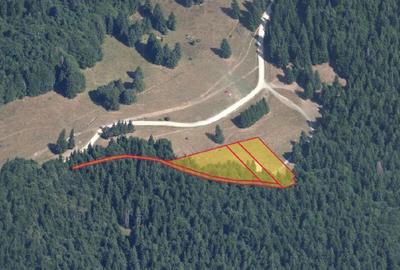 Teren agricol intravilan de 6000 mp, în Nord