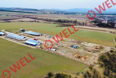 Ferma complet echipată de 22 de hectare de vânzare în Zoltan! - 7