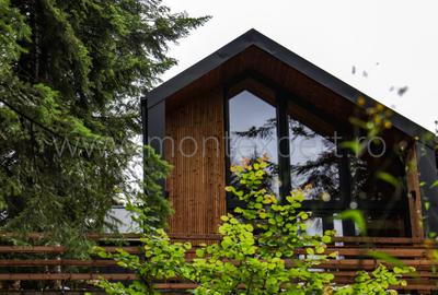 Sinaia – Vila Cu Design Scandinav, De Vânzare În Sinaia! TVA Inclus!!! - 3