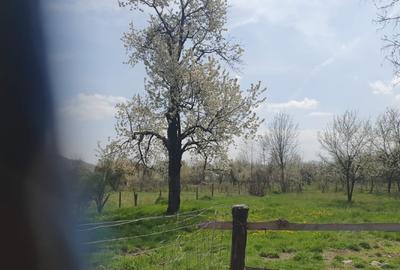 OPORTUNITATE UNICĂ ÎN TOMȘANI (LÂNGĂ HOREZU) – ANSAMBLU TERENURI 9.364 MP - 5