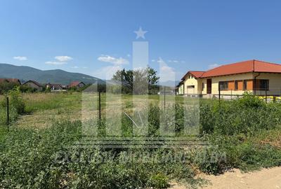 Teren intravilan | 2900 mp | 17 ml deschidere | Alba-Micesti - 3