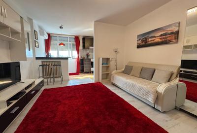 Apartament cu o camera Pod Piatra/Cantemir - 4