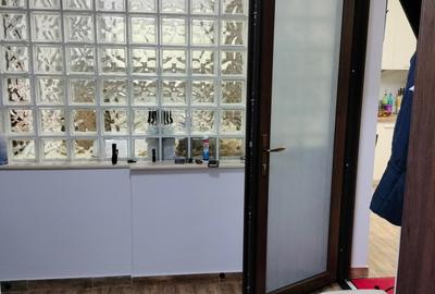 Casa superba, zona linistita, accesibil, cu mansarda locuibila de 100mp. - 4