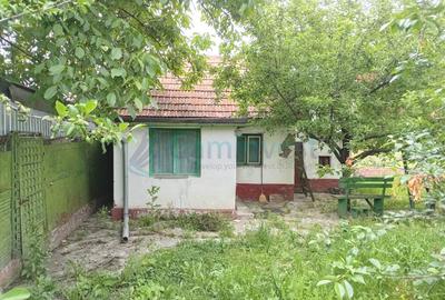 Casa de vanzare in Oradea, zona Calea Clujului, 780 mp teren - 8