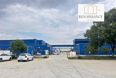 3 Hale Clasa A | 11.250mp Construiti 25.450mp Teren | Freidorf - 2