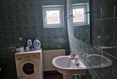 Vila P+E si teren intravilan 1,5Ha,cu zavoi+iaz,lac peste si livada-investitie - 8