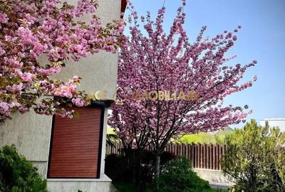 Casa de Vanzare | 6 Camere | Baneasa | Centrala | Parcare | Curte - 15