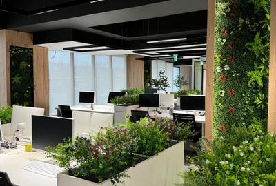 Birou modern de inchiriat in Complexul HIMSON - 4