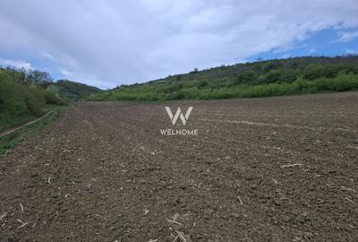 Teren extravilan arabil - Sibiu - Gusterland - 1