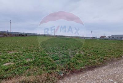 Teren pentru investitii in Lilieci de vanzare - 2