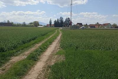 De vânzare teren extravilan langa drumul DN11 - 2