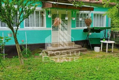 Casă individuală cu 4 camere în Micănești