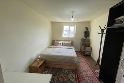 Mitreni-Valea Rosie-Acasa la Tara -4 camere-178 mp-LOT  1000 mp+Casa secundara - 36
