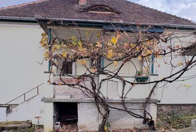 VAND CASA   CU 900 MP TEREN,ZONA PARCUL SUB ARINI - 1