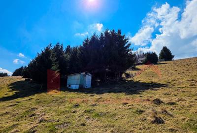 Proprietar | Teren Panoramic+PUZ + Cabana | Drumul Paltinisului |746mp - 12