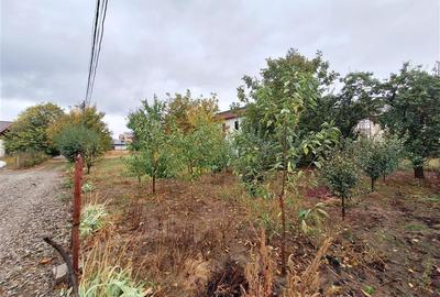 Teren 900 mp intravilan, zona Gradina cu Magnolii - 7