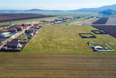 Teren intravilan 18.200mp, cu PUZ si PUD, ideal constructi case, Bod, Brasov. - 12