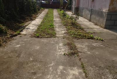 Vand casa solida in Deva, zona Horea, suprafata totala de teren 3450 mp, - 3