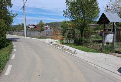 Casă + teren generos în Comuna Frâncești (sat Dezrobiți) - 5