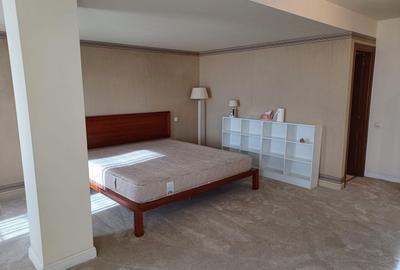 Penthouse In Prima Linie Pe Nordului | 400 mp Utili + 400 mp Terasa - 10