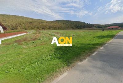 Teren intravilan, 2800 mp, la asfalt,cu utilitati, Hapria, com. Ciugud - 1