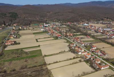 Loc de casă în Odvoș - Conop 3000mp - 9