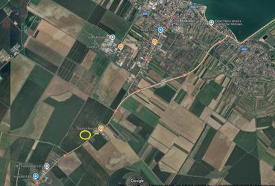 5,7 Ha. vav de Dovinot - Mihailesti, teren intravilan cu deschidere la DN6 - 6