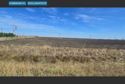 Teren extravilan cu potențial de dezvoltare, la sosea DN6 - 1