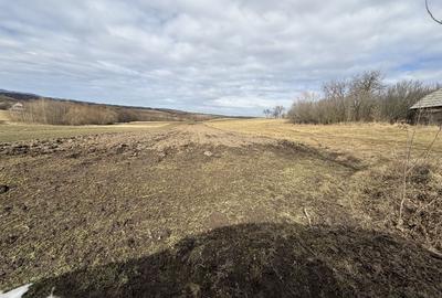 Teren intravilan | 16 ari | Horodnic de Jos – zona Călugărița - 5