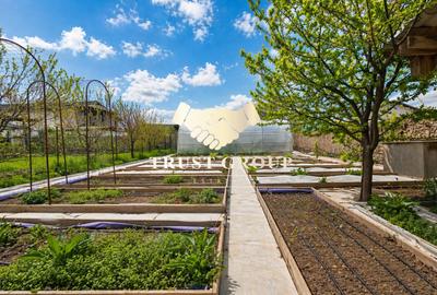 Casă individuală – Moara Vlăsiei | 3 camere | 1000 mp teren - 17