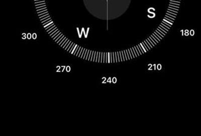 Casa singur in curte - Florilor - 22