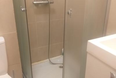 UNIVERSITATE - FACULTATEA DE ARHITECTURA, GARSONIERA, 30MP, MOBILATA - 9