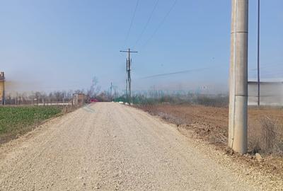 Teren de vanzare in Biharia, cu o suprafata de 20000 mp intravilan - 2