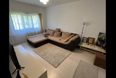 Ap 3 cam D, etaj int, mob utilat, bulevard Pacurari - 2