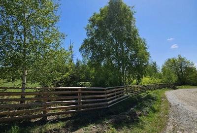 Pensiune in jud. Buzau, loc Ivanetu| Constructie lemn|Pozitionare impresionanta - 55