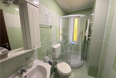 Casa de vanzare - Pensiune functionala, 250 mp - zona Alba Iulia - 11