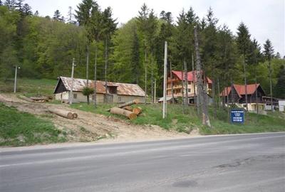 Proprietar, vand teren Busteni Poiana Tapului Prahova 3.450 mp - 6
