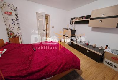 Valea Adanca - Duplex P+Mansarda 107mp + 110 mp CURTE - 11