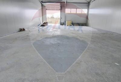 Hale industriale noi de inchiriat – spatii modulare 100–560 mp - 4