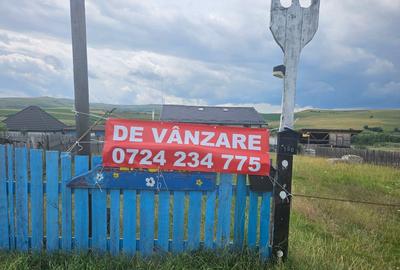 Vanzare în bloc, imobile, constructii si teren, bunuri mobile aferente - pensiun - 1